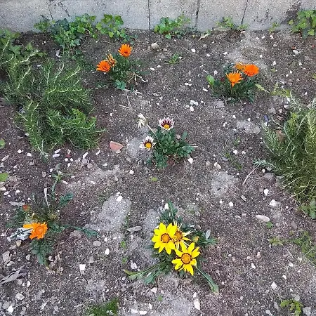 & Casa Maia * Padrón