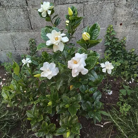 & Casa Maia Séjour à la campagne *