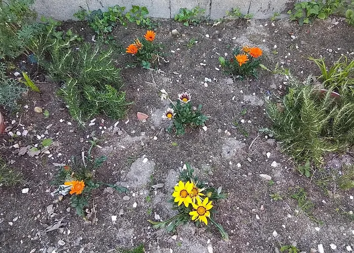 & Casa Maia * Padrón